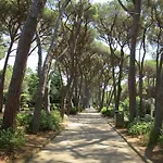Marruca By Interhome Διαμέρισμα Castiglioncello