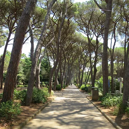 Marruca By Interhome Appartamento Castiglioncello